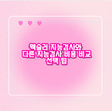 웩슬러 지능검사와 다른 지능검사 비용 비교 선택 팁