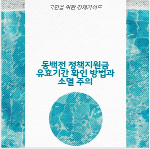 동백전 정책지원금 유효기간 확인 방법과 소멸 주의