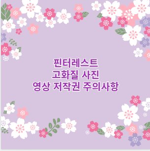 핀터레스트 고화질 사진 영상 저작권 주의사항