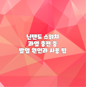 닌텐도 스위치 과열 충전 중 발열 원인과 사용 팁