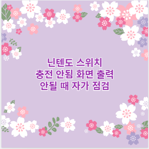 닌텐도 스위치 충전 안됨 화면 출력 안될 때 자가 점검