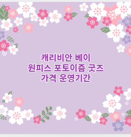 캐리비안 베이 원피스 포토이즘 굿즈 가격 운영기간