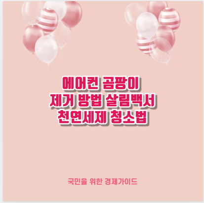 에어컨 곰팡이 제거 방법 살림백서 천연세제 청소법