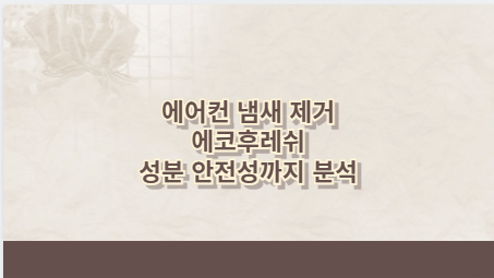 에어컨 냄새 제거 에코후레쉬 성분 안전성까지 분석