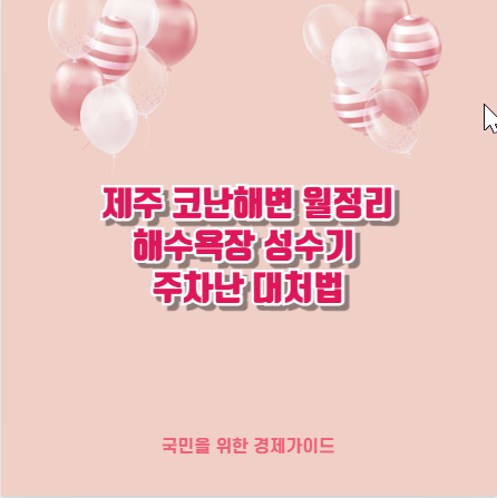 제주 코난해변 월정리해수욕장 성수기 주차난 대처법