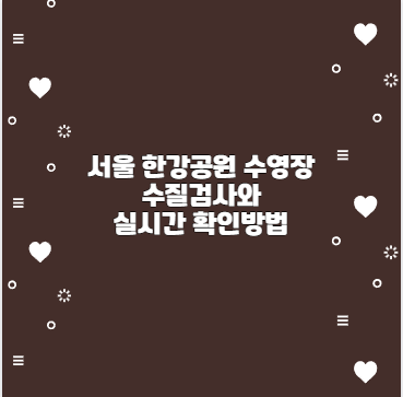 서울 한강공원 수영장 수질검사와 실시간 확인방법
