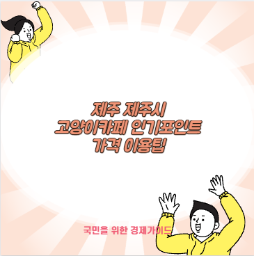 제주 제주시 고양이카페 인기포인트 가격 이용팁