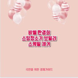 비쎌 한경희 스팀청소기 보일러 스케일 제거