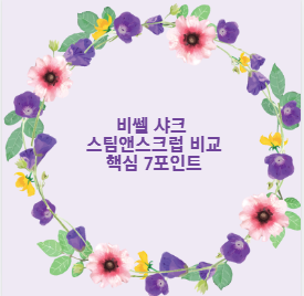 비쎌 샤크 스팀앤스크럽 비교 핵심 7포인트