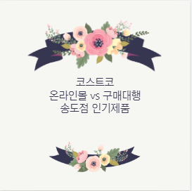 코스트코 온라인몰 vs 구매대행 송도점 인기제품