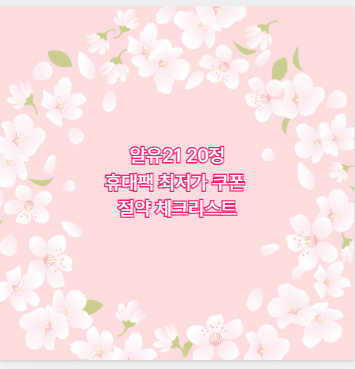 알유21 20정 휴대팩 최저가 쿠폰 절약 체크리스트