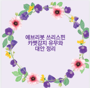 에브리봇 쓰리스핀 카펫감지 유무와 대안 정리