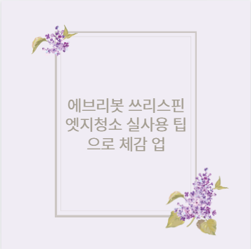 에브리봇 쓰리스핀 엣지청소 실사용 팁으로 체감 업