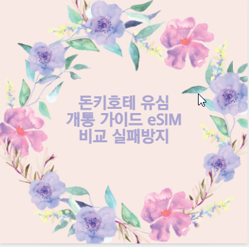 돈키호테 유심 개통 가이드 eSIM 비교 실패방지