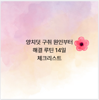 양치덧 구취 원인부터 해결 루틴 14일 체크리스트