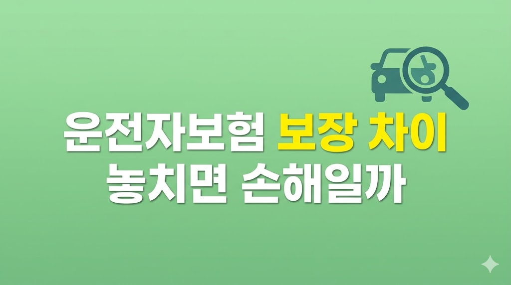 운전자보험 보장 차이를 비교하는 장면