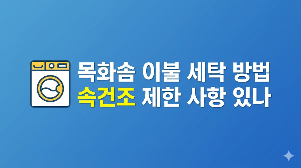 목화솜 이불 세탁 방법과 햇볕 건조 관리 모습
